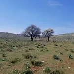 Rezidenca Sinani Appartamento