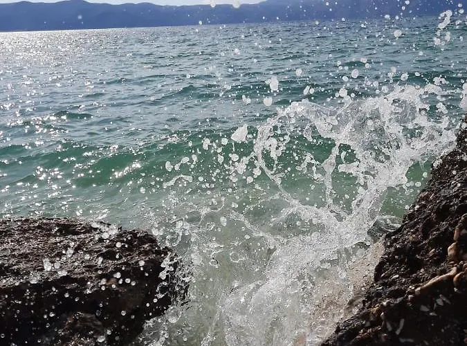 Lejlighed Rezidenca Sinani *