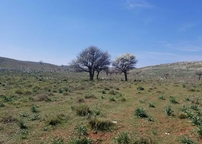 Rezidenca Sinani شقة