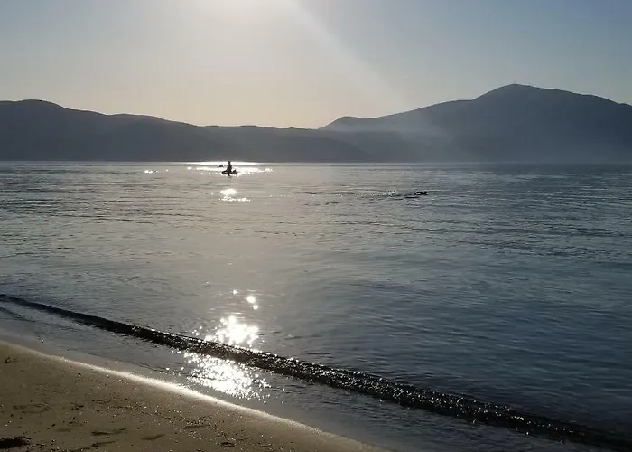 Rezidenca Sinani *