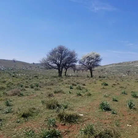 Rezidenca Sinani شقة