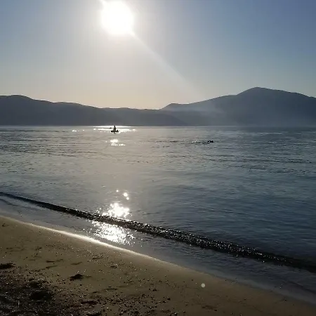 Rezidenca Sinani *